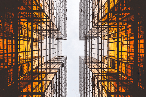 Михаил Грибов примет участие в форуме Business Day